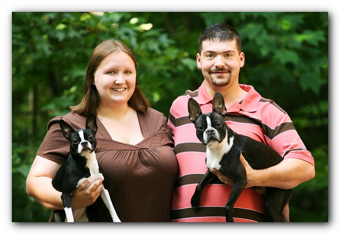 Boston Terriers Dog Pet Friendly Cabin Pigeon Forge Gatlinburg Tennessee
