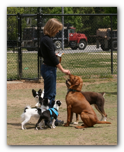 Miley, Howie & Friends at the Chattanooga Dog Park and TN Aquarium
