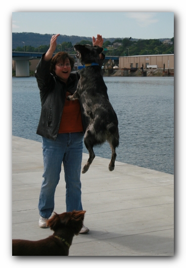 Miley, Howie & Friends at the Chattanooga Dog Park and TN Aquarium
