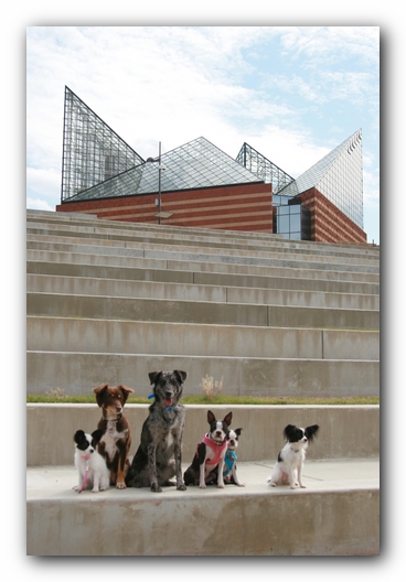 Miley, Howie & Friends at the Chattanooga Dog Park and TN Aquarium