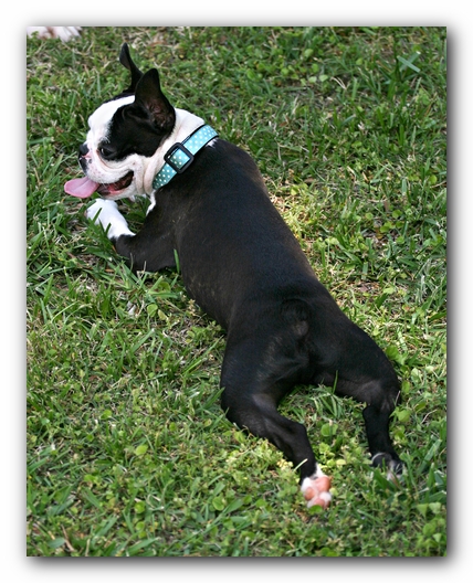Kacey's First Birthday Party