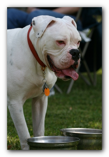 Kacey's First Birthday Party