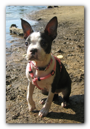 Miley's 12 Week Birthday