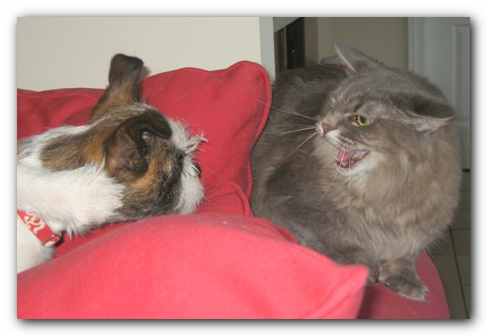 Casey and Missy