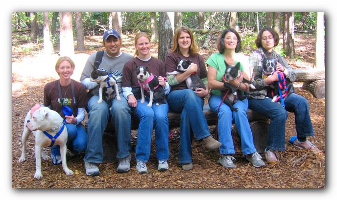 Huntsville Boston Terrier Meetup