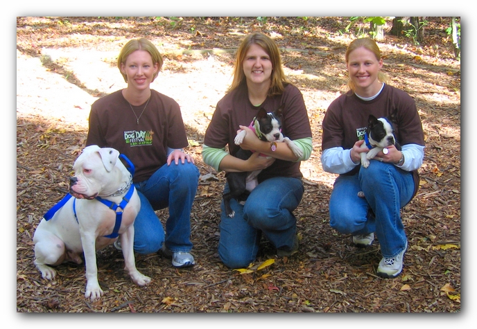 Huntsville Boston Terrier Meetup