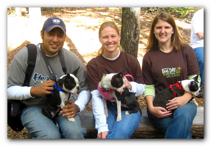 Huntsville Boston Terrier Meetup