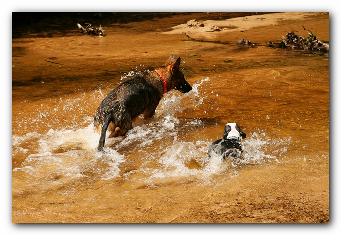 Borden Creek Trail at Bankhead National Forest / Sipsey Wilderness Area near Huntsville, AL