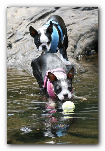 Miley and Howie go to Little River Canyon
