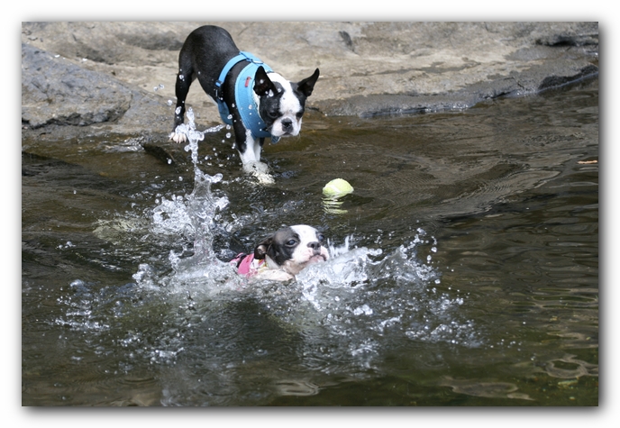 Miley and Howie go to Little River Canyon