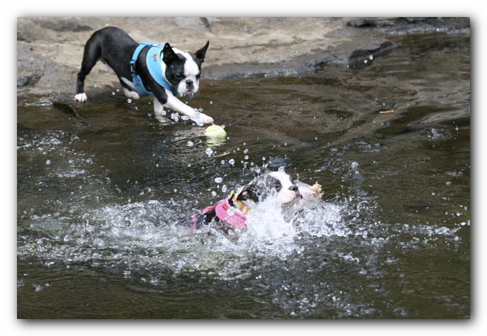 Miley and Howie go to Little River Canyon