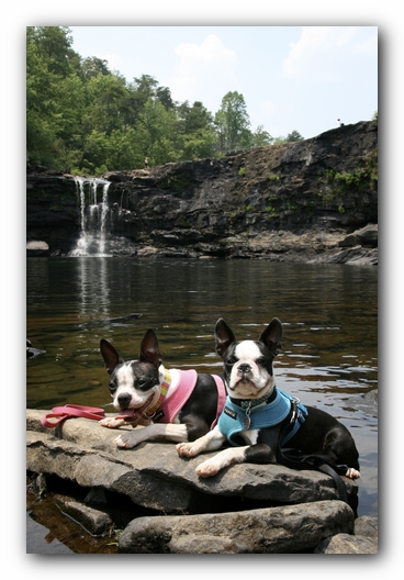 Miley and Howie go to Little River Canyon