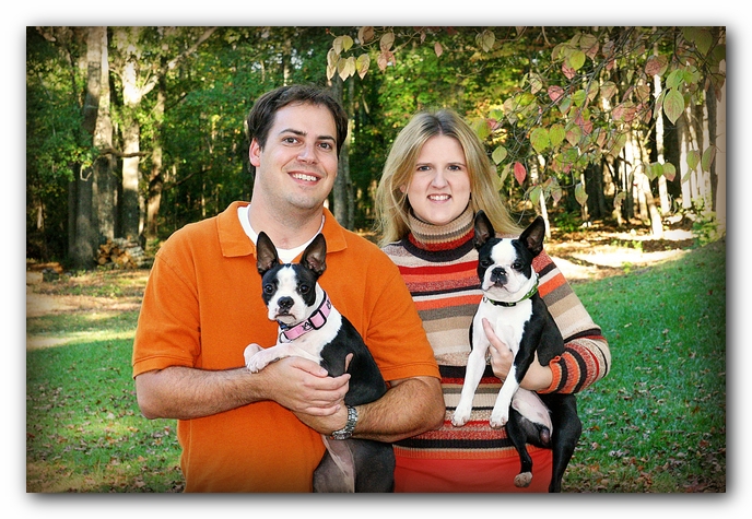 Miley and Howie - Boston Terrier Puppies