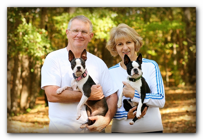 Miley and Howie - Boston Terrier Puppies
