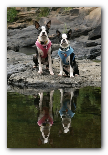 Miley and Howie go to Little River Canyon