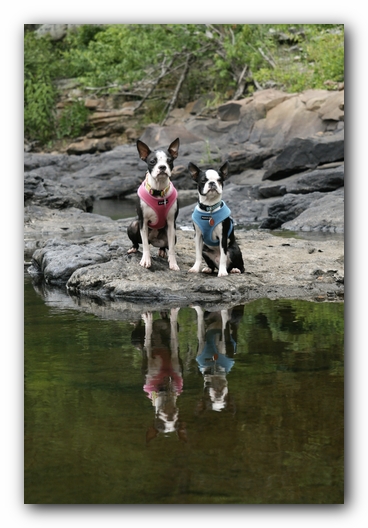 Miley and Howie go to Little River Canyon