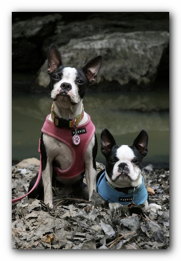 Miley and Howie go to Little River Canyon