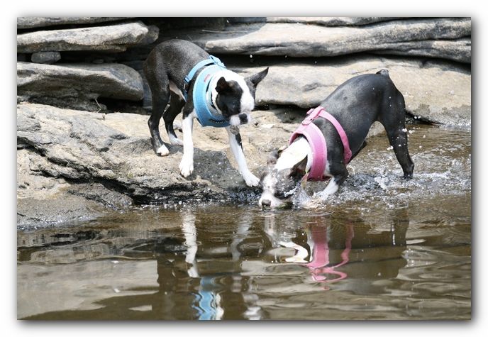 Miley and Howie go to Little River Canyon